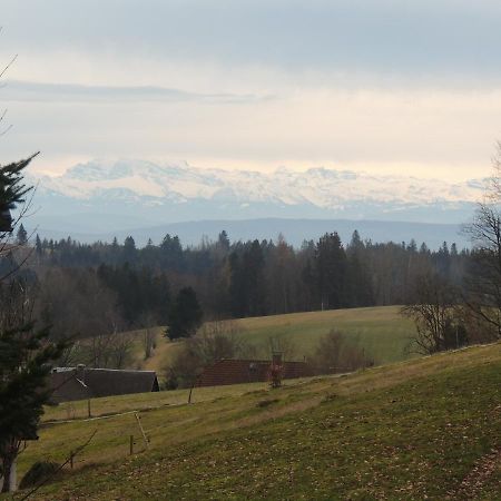 Haus Ingeborg Lägenhet Dachsberg im Schwarzwald Exteriör bild