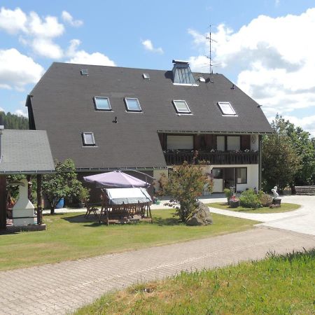 Haus Ingeborg Lägenhet Dachsberg im Schwarzwald Exteriör bild