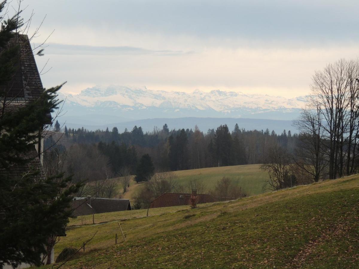 Haus Ingeborg Lägenhet Dachsberg im Schwarzwald Exteriör bild