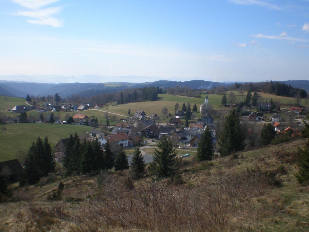 Haus Ingeborg Lägenhet Dachsberg im Schwarzwald Exteriör bild