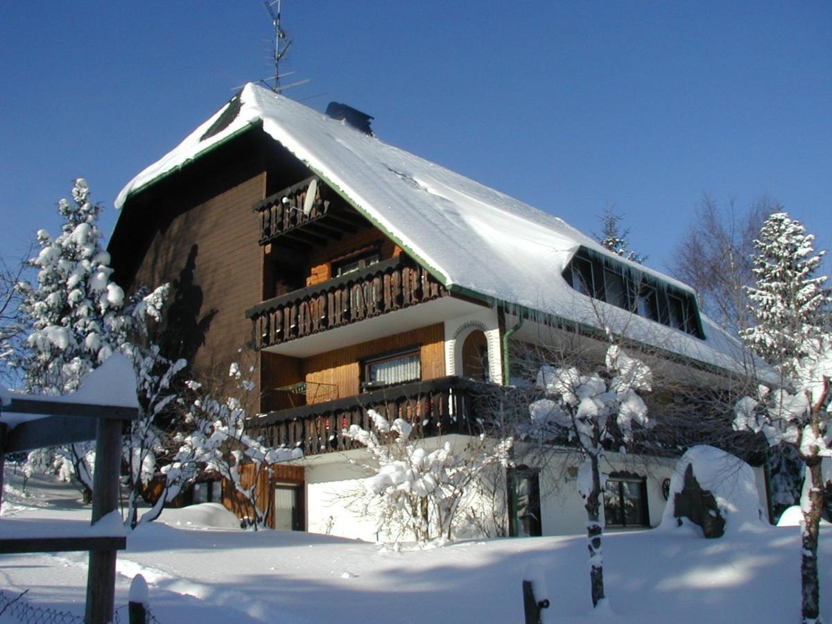 Haus Ingeborg Lägenhet Dachsberg im Schwarzwald Exteriör bild