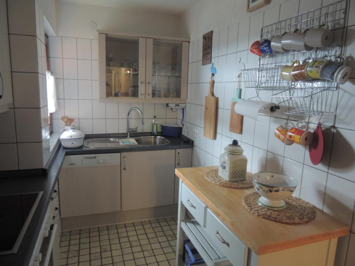 Haus Ingeborg Lägenhet Dachsberg im Schwarzwald Exteriör bild