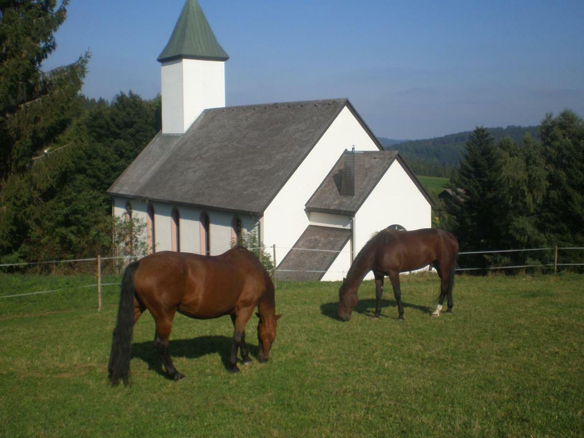 Haus Ingeborg Lägenhet Dachsberg im Schwarzwald Exteriör bild