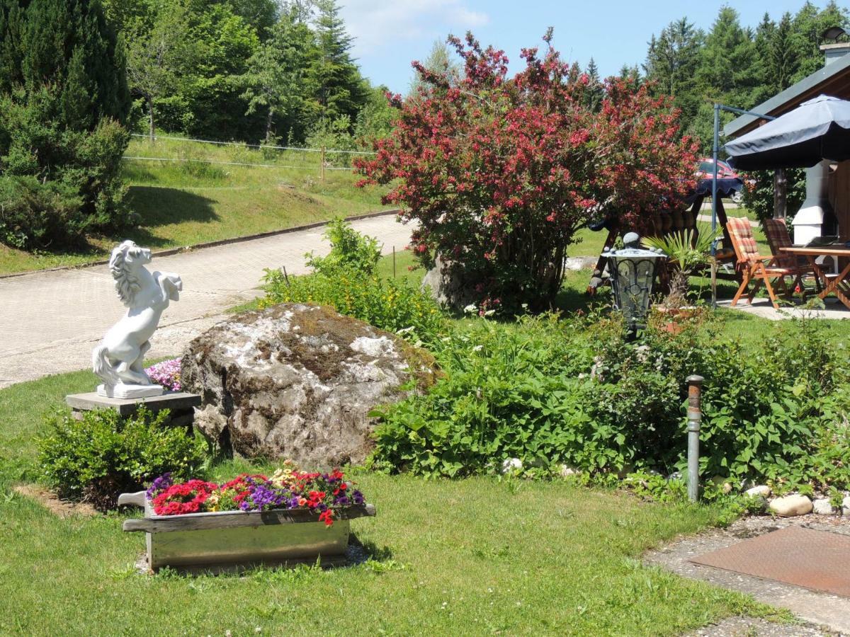 Haus Ingeborg Lägenhet Dachsberg im Schwarzwald Exteriör bild